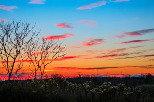 See Unspoiled Fall Foliage in Wausau 1