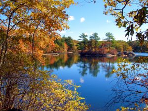 See Unspoiled Fall Foliage in Wausau 2